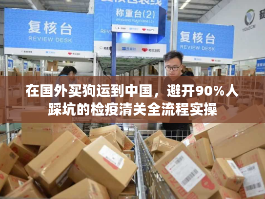在国外买狗运到中国,避开90%人踩坑的检疫清关全流程实操 在国外买狗运到中国,避开90%人踩坑的检疫清关全流程实操