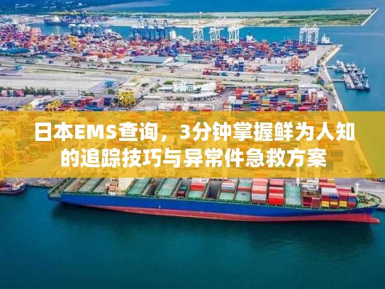 日本EMS查询，3分钟掌握鲜为人知的追踪技巧与异常件急救方案