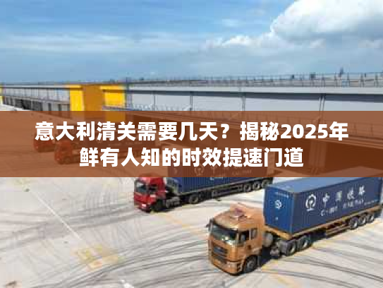 意大利清关需要几天？揭秘2025年鲜有人知的时效提速门道