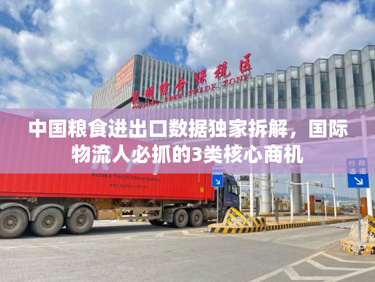 中国粮食进出口数据独家拆解,国际物流人必抓的3类核心商机 中国粮食进出口数据独家拆解,国际物流人必抓的3类核心商机