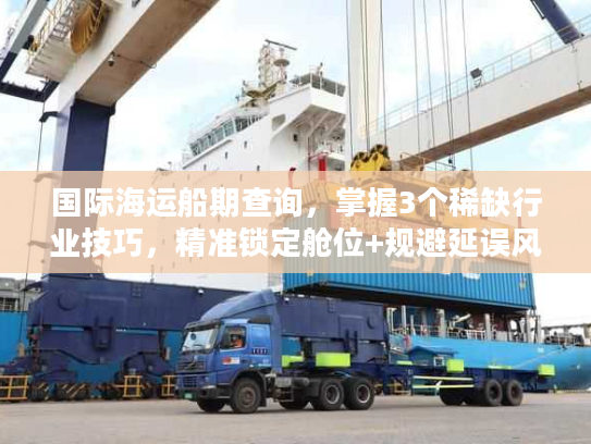 国际海运船期查询，掌握3个稀缺行业技巧，精准锁定舱位+规避延误风险
