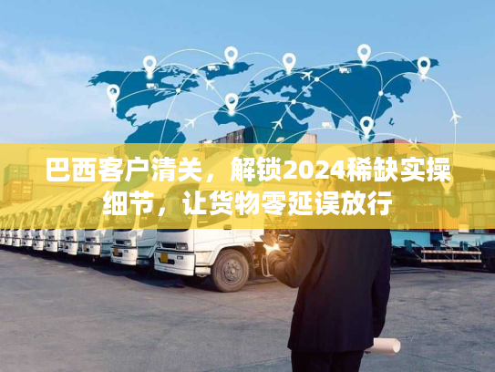 巴西客户清关，解锁2024稀缺实操细节，让货物零延误放行