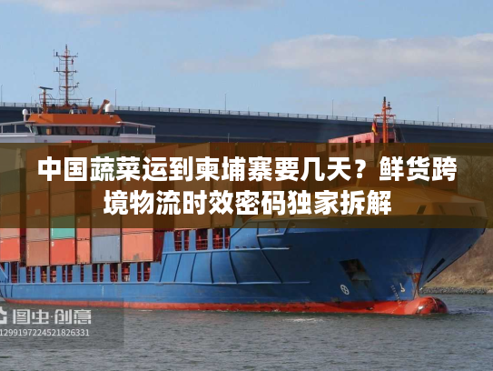 中国蔬菜运到柬埔寨要几天？鲜货跨境物流时效密码独家拆解