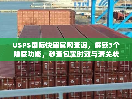 USPS国际快递官网查询，解锁3个隐藏功能，秒查包裹时效与清关状态