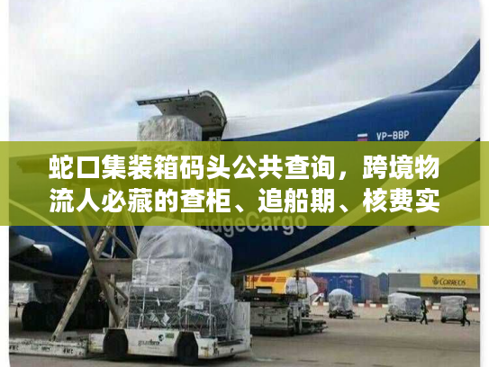 蛇口集装箱码头公共查询，跨境物流人必藏的查柜、追船期、核费实操技巧