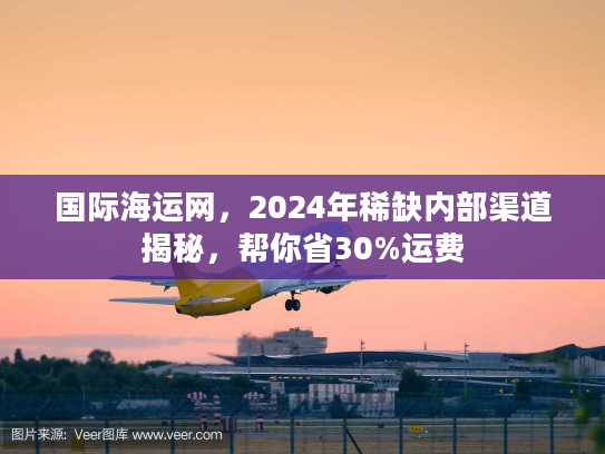 国际海运网，2024年稀缺内部渠道揭秘，帮你省30%运费