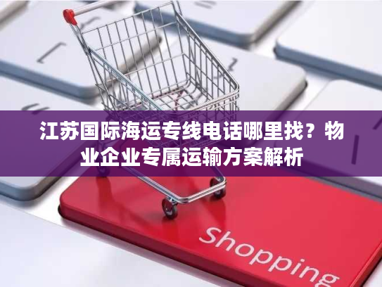 江苏国际海运专线电话哪里找？物业企业专属运输方案解析