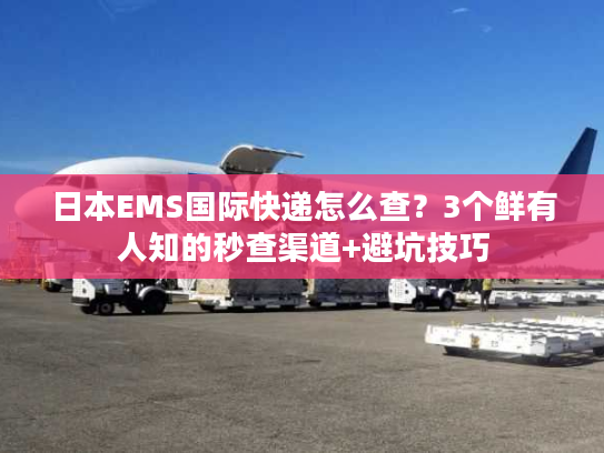 日本EMS国际快递怎么查？3个鲜有人知的秒查渠道+避坑技巧
