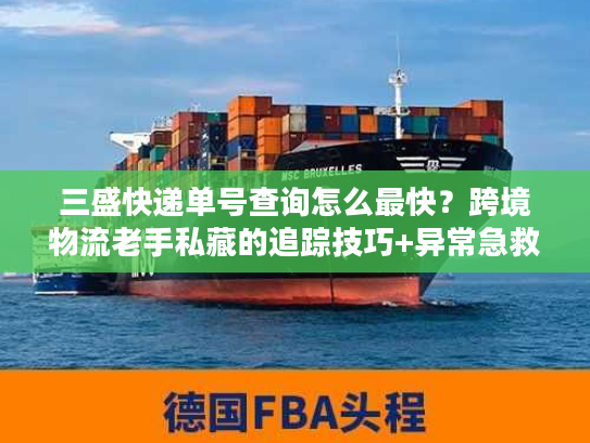 三盛快递单号查询怎么最快？跨境物流老手私藏的追踪技巧+异常急救