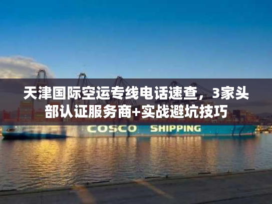 天津国际空运专线电话速查，3家头部认证服务商+实战避坑技巧