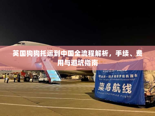 英国狗狗托运到中国全流程解析,手续、费用与避坑指南 英国狗狗托运到中国全流程解析,手续、费用与避坑指南