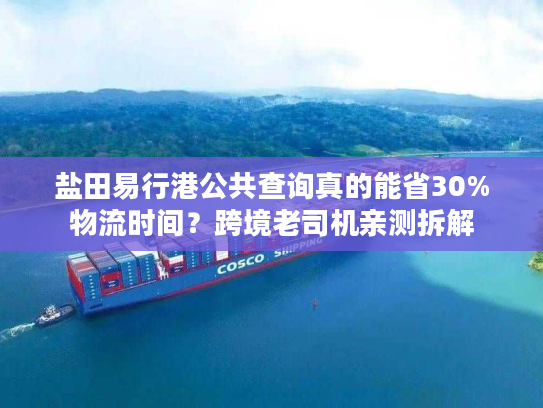 盐田易行港公共查询真的能省30%物流时间？跨境老司机亲测拆解