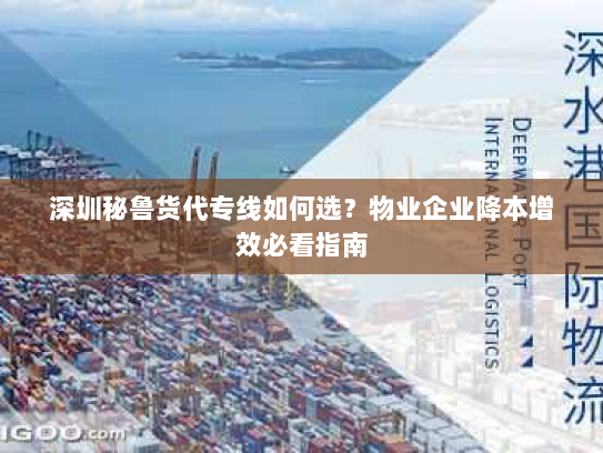 深圳秘鲁货代专线如何选?物业企业降本增效必看指南 深圳秘鲁货代专线如何选?物业企业降本增效必看指南