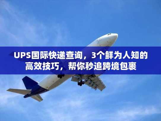 UPS国际快递查询，3个鲜为人知的高效技巧，帮你秒追跨境包裹