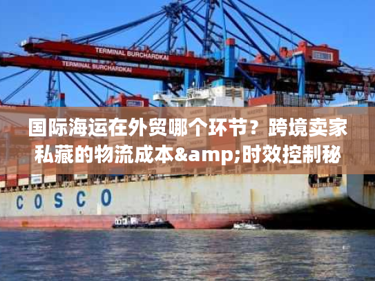 国际海运在外贸哪个环节？跨境卖家私藏的物流成本&时效控制秘籍
