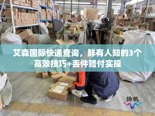 艾森国际快递查询，鲜有人知的3个高效技巧+丢件赔付实操