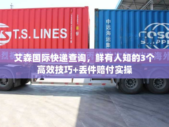 艾森国际快递查询，鲜有人知的3个高效技巧+丢件赔付实操