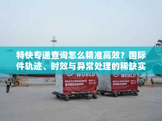 特快专递查询怎么精准高效？国际件轨迹、时效与异常处理的稀缺实操方案