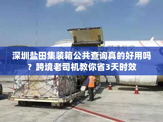 深圳盐田集装箱公共查询真的好用吗？跨境老司机教你省3天时效