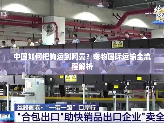 中国如何把狗运到阿曼?宠物国际运输全流程解析 中国如何把狗运到阿曼?宠物国际运输全流程解析