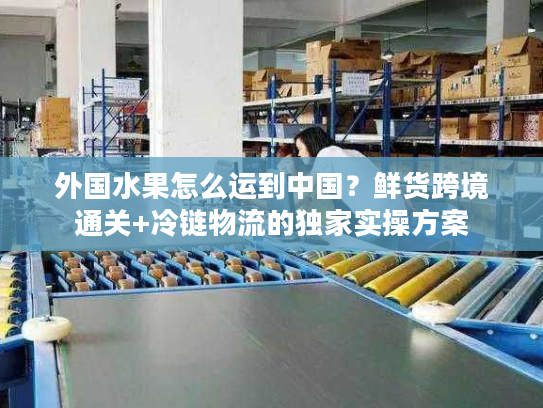 外国水果怎么运到中国？鲜货跨境通关+冷链物流的独家实操方案