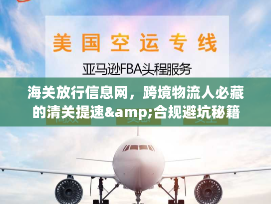 海关放行信息网，跨境物流人必藏的清关提速&合规避坑秘籍