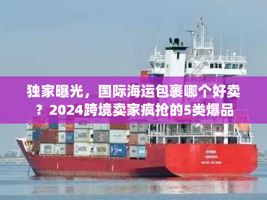独家曝光，国际海运包裹哪个好卖？2024跨境卖家疯抢的5类爆品