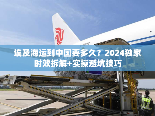 埃及海运到中国要多久？2024独家时效拆解+实操避坑技巧