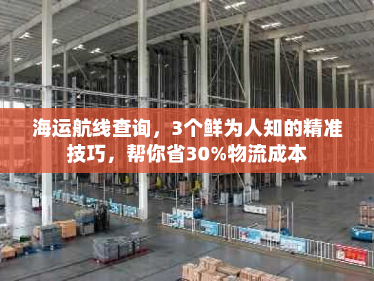 海运航线查询，3个鲜为人知的精准技巧，帮你省30%物流成本