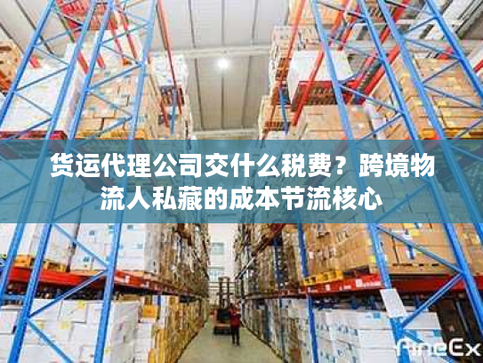 货运代理公司交什么税费？跨境物流人私藏的成本节流核心