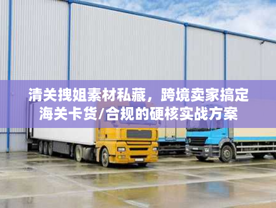 清关拽姐素材私藏，跨境卖家搞定海关卡货/合规的硬核实战方案