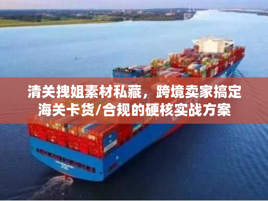 清关拽姐素材私藏，跨境卖家搞定海关卡货/合规的硬核实战方案