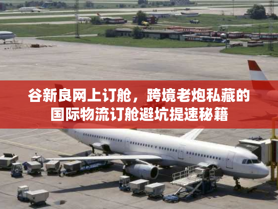 谷新良网上订舱，跨境老炮私藏的国际物流订舱避坑提速秘籍