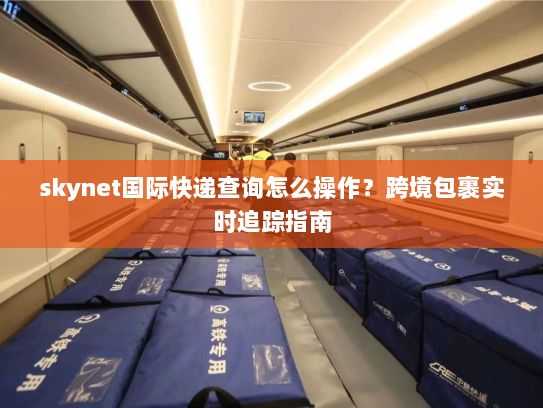 skynet国际快递查询怎么操作?跨境包裹实时追踪指南 skynet国际快递查询怎么操作?跨境包裹实时追踪指南