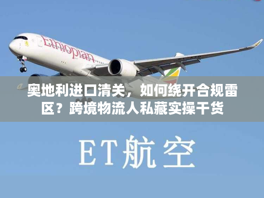 奥地利进口清关，如何绕开合规雷区？跨境物流人私藏实操干货
