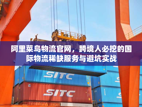 阿里菜鸟物流官网，跨境人必挖的国际物流稀缺服务与避坑实战