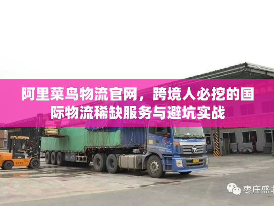 阿里菜鸟物流官网，跨境人必挖的国际物流稀缺服务与避坑实战
