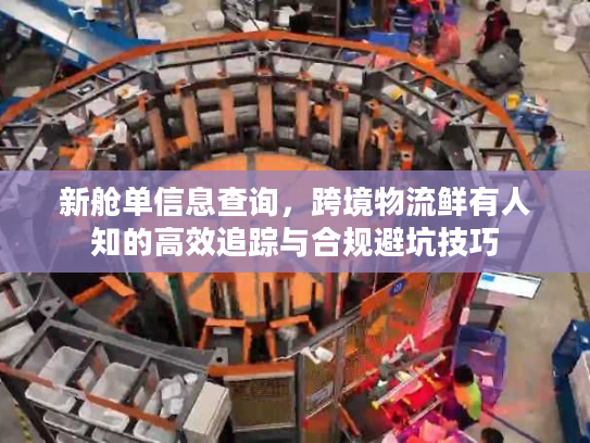 新舱单信息查询，跨境物流鲜有人知的高效追踪与合规避坑技巧