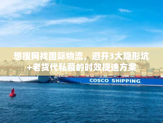 想搜网找国际物流，避开3大隐形坑+老货代私藏的时效提速方案