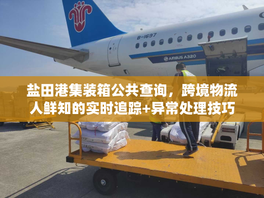 盐田港集装箱公共查询，跨境物流人鲜知的实时追踪+异常处理技巧