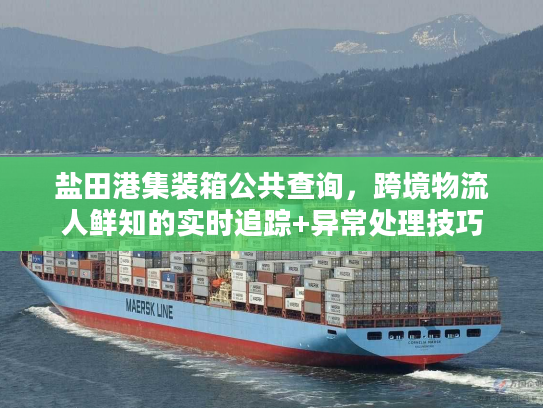 盐田港集装箱公共查询，跨境物流人鲜知的实时追踪+异常处理技巧