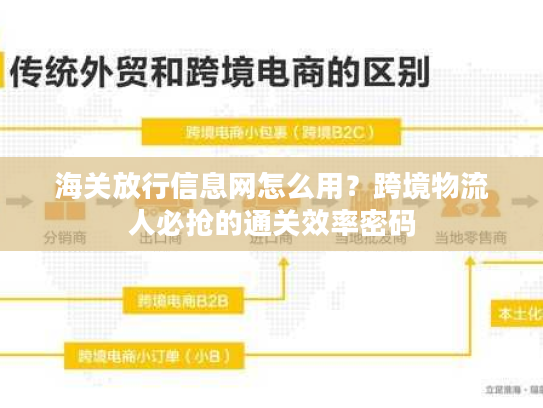 海关放行信息网怎么用？跨境物流人必抢的通关效率密码
