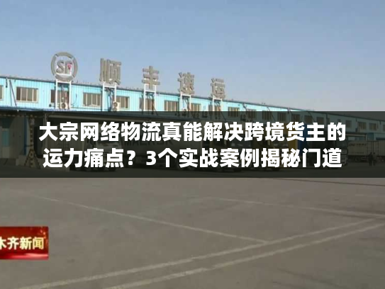 大宗网络物流真能解决跨境货主的运力痛点？3个实战案例揭秘门道