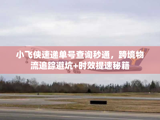 小飞侠速递单号查询秒通，跨境物流追踪避坑+时效提速秘籍