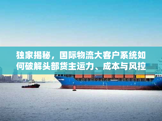 独家揭秘,国际物流大客户系统如何破解头部货主运力、成本与风控三大痛点 独家揭秘,国际物流大客户系统如何破解头部货主运力、成本与风控三大痛点