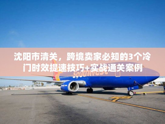 沈阳市清关，跨境卖家必知的3个冷门时效提速技巧+实战通关案例