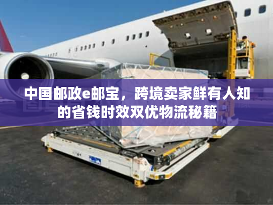 中国邮政e邮宝，跨境卖家鲜有人知的省钱时效双优物流秘籍