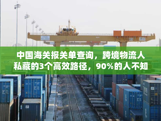 中国海关报关单查询，跨境物流人私藏的3个高效路径，90%的人不知道