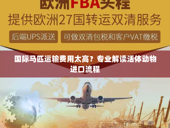 国际马匹运输费用太高？专业解读活体动物进口流程