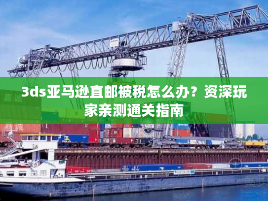 3ds亚马逊直邮被税怎么办?资深玩家亲测通关指南 3ds亚马逊直邮被税怎么办?资深玩家亲测通关指南